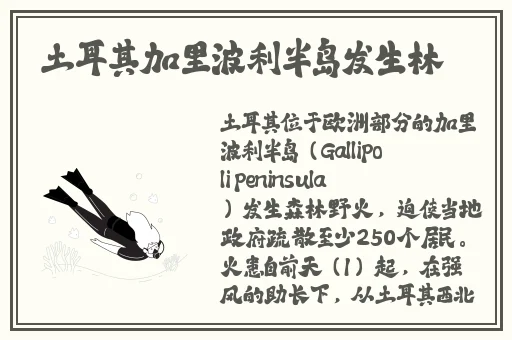 伽罗腿法熟练视频在线观看